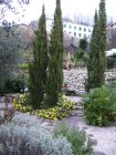 Gartenneugestaltung mit Trockenmauer, mediterraner lokaler Bepflanzung