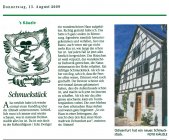 Artikel in der Mainpost, August 2009